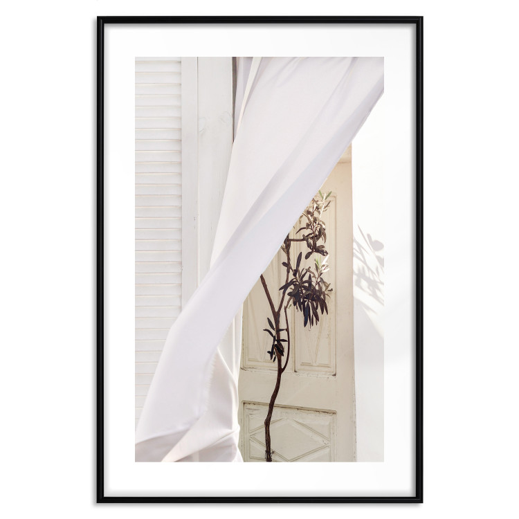 Poster Mystery of the Wind - composition with plant against white architecture 129467 additionalImage 17