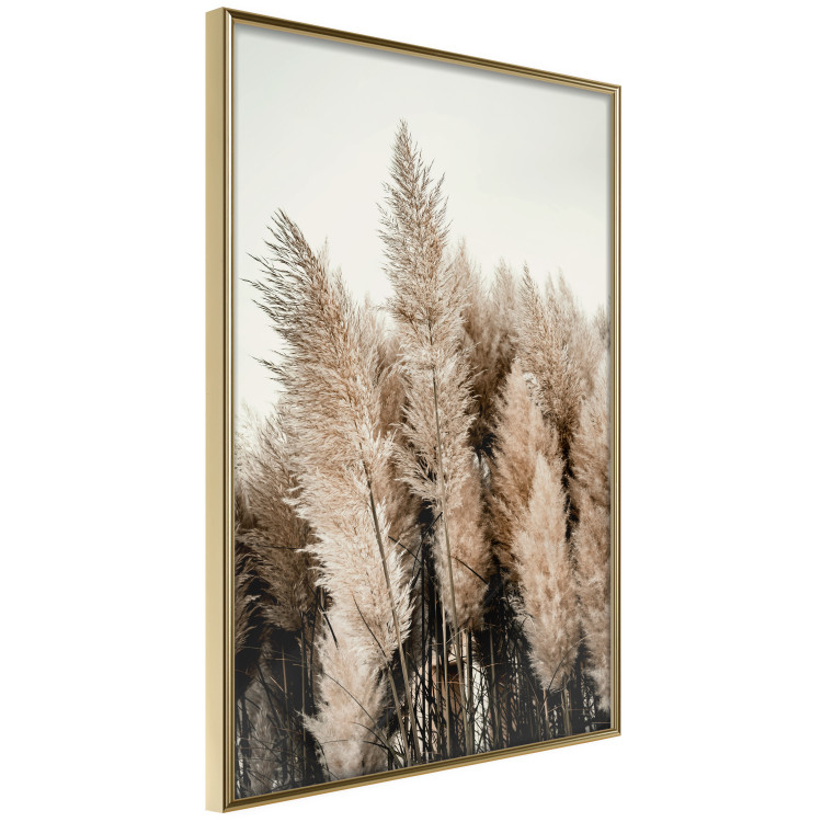 Poster Plume of Dreams - golden autumn trees on a uniform light background 130467 additionalImage 14
