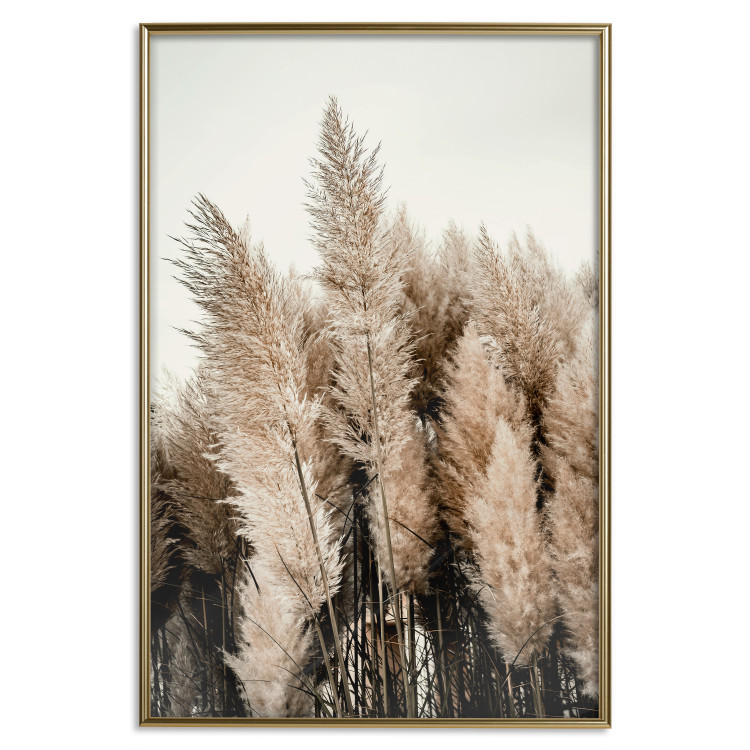 Poster Plume of Dreams - golden autumn trees on a uniform light background 130467 additionalImage 17