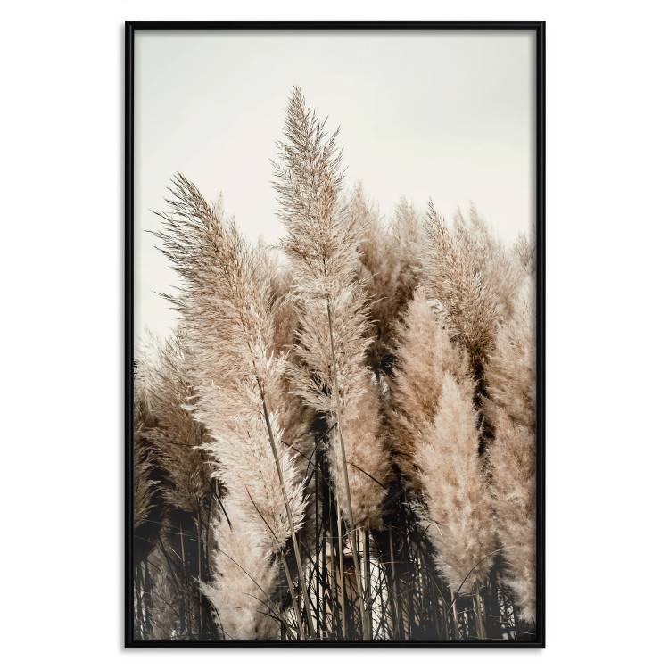 Poster Plume of Dreams - golden autumn trees on a uniform light background 130467 additionalImage 16