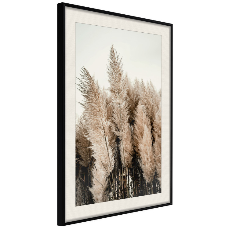 Poster Plume of Dreams - golden autumn trees on a uniform light background 130467 additionalImage 2