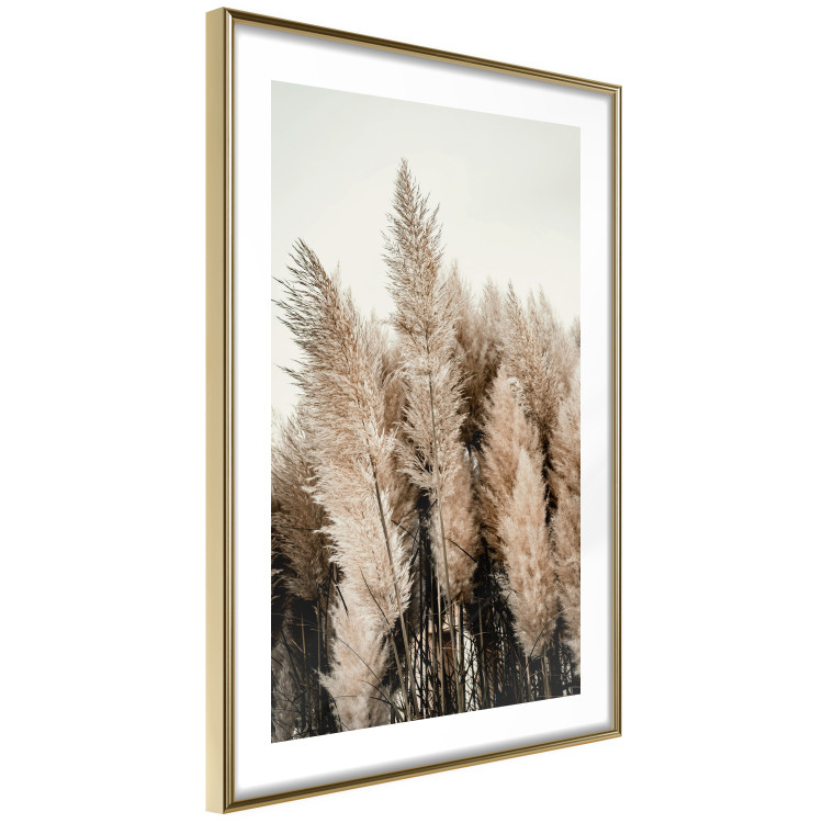 Poster Plume of Dreams - golden autumn trees on a uniform light background 130467 additionalImage 7