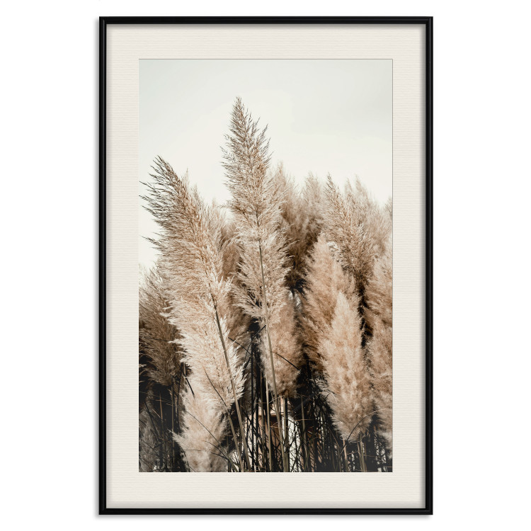 Poster Plume of Dreams - golden autumn trees on a uniform light background 130467 additionalImage 19