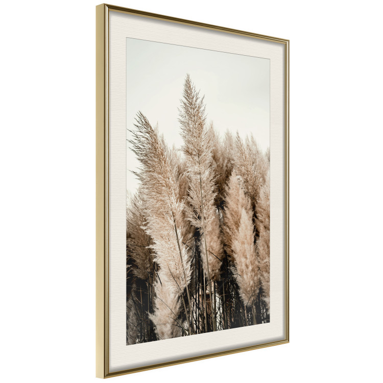 Poster Plume of Dreams - golden autumn trees on a uniform light background 130467 additionalImage 3