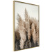 Poster Plume of Dreams - golden autumn trees on a uniform light background 130467 additionalThumb 14
