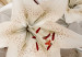 Canvas Lilies (3-piece) - light-white flowers on a beige glossy background 145267 additionalThumb 4
