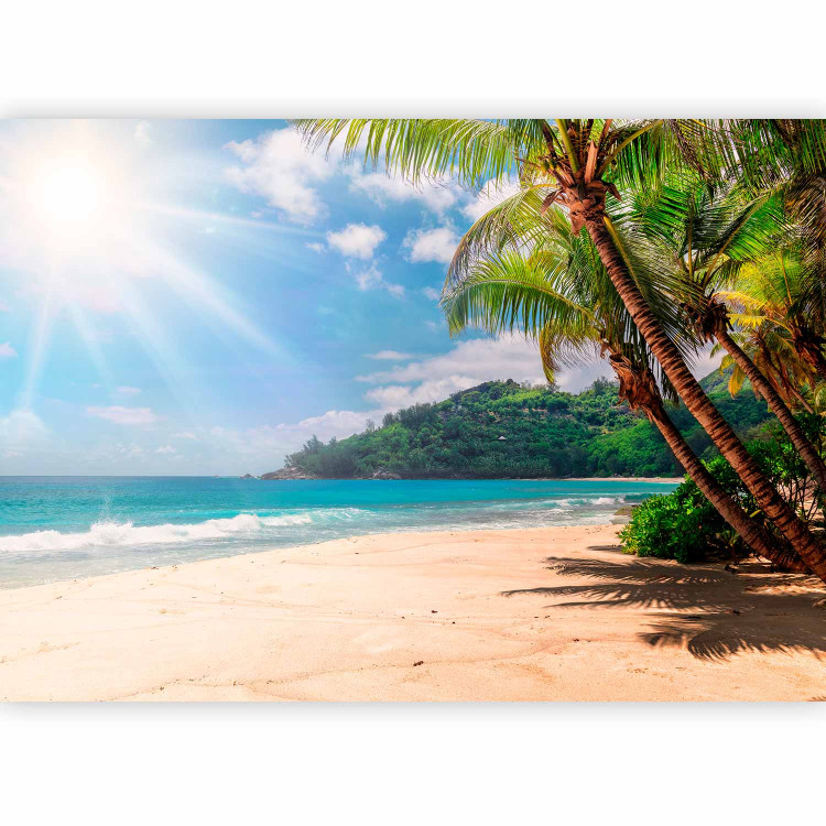 Photo Wallpaper In the Shade of Nature - Photos of a Sun-Lit Beach With Palm Trees 146167 additionalImage 1