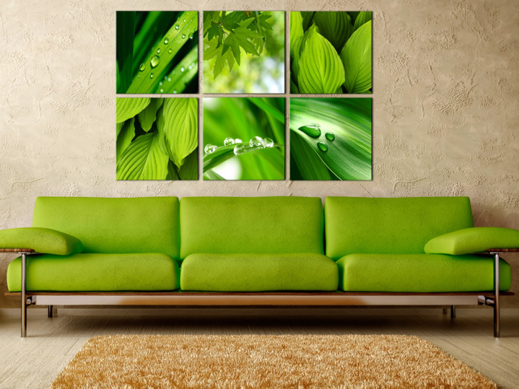 Canvas Print Fresh green leaves 50467 additionalImage 3