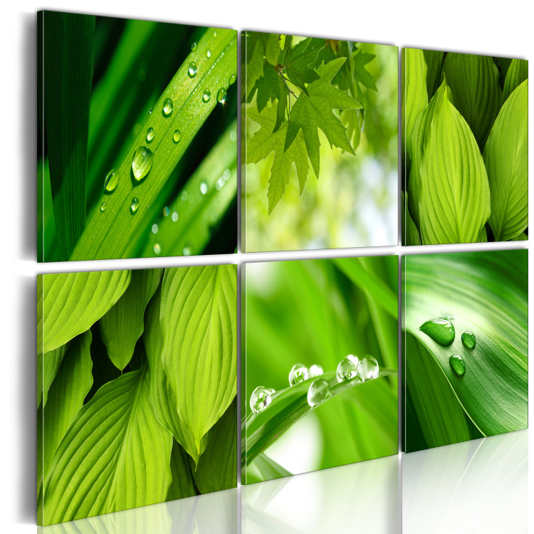 Canvas Print Fresh green leaves 50467 additionalImage 2