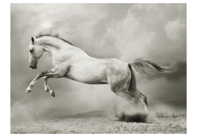 Photo Wallpaper Strong Stallion - White jumping horse on sand amidst thick gray smoke 61267 additionalImage 1