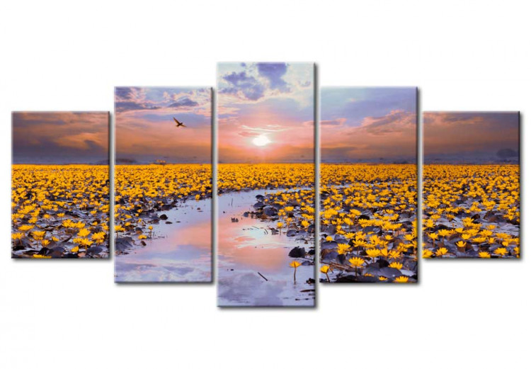 Canvas Print Flowery river - a landscape full of flowers on the water at sunset 90567
