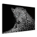 Canvas Art Print Leopard Portrait (1 Part) Wide 108177 additionalThumb 2