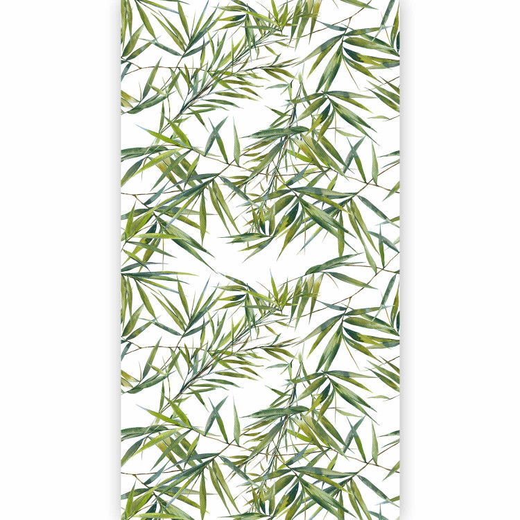 Wall Mural Bamboo thicket - dense composition of tropical leaves on white background 113777 additionalImage 1