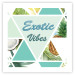 Wall Poster Exotic Vibes (Square) - summer composition with tropical food 114577 additionalThumb 25