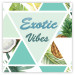 Wall Poster Exotic Vibes (Square) - summer composition with tropical food 114577