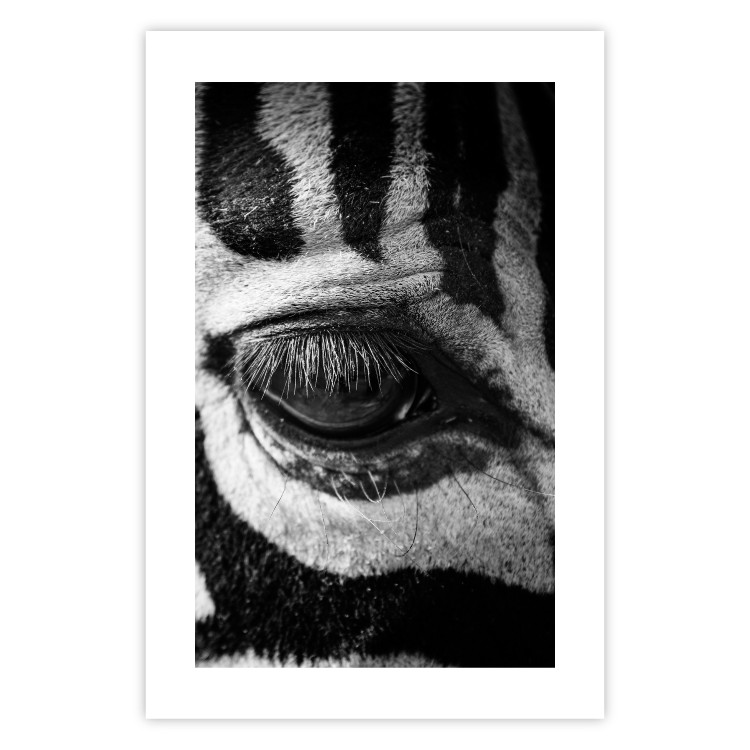 Wall Poster Close-up of a zebra's eye - black and white composition with animal motif 114877 additionalImage 25
