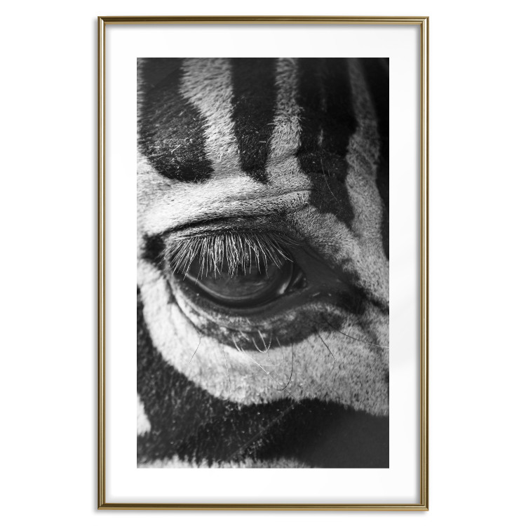 Wall Poster Close-up of a zebra's eye - black and white composition with animal motif 114877 additionalImage 16