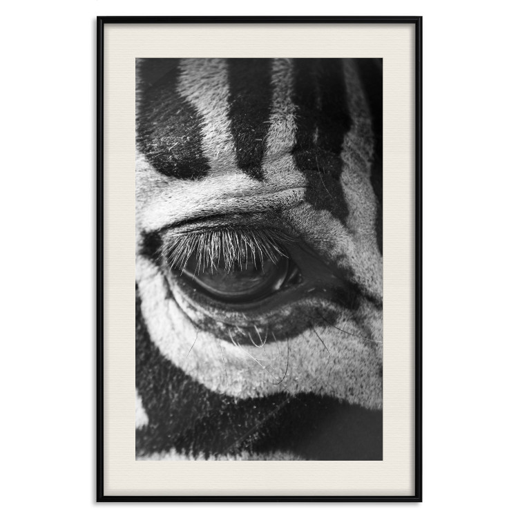 Wall Poster Close-up of a zebra's eye - black and white composition with animal motif 114877 additionalImage 18