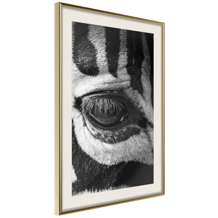 Wall Poster Close-up of a zebra's eye - black and white composition with animal motif 114877 additionalImage 13