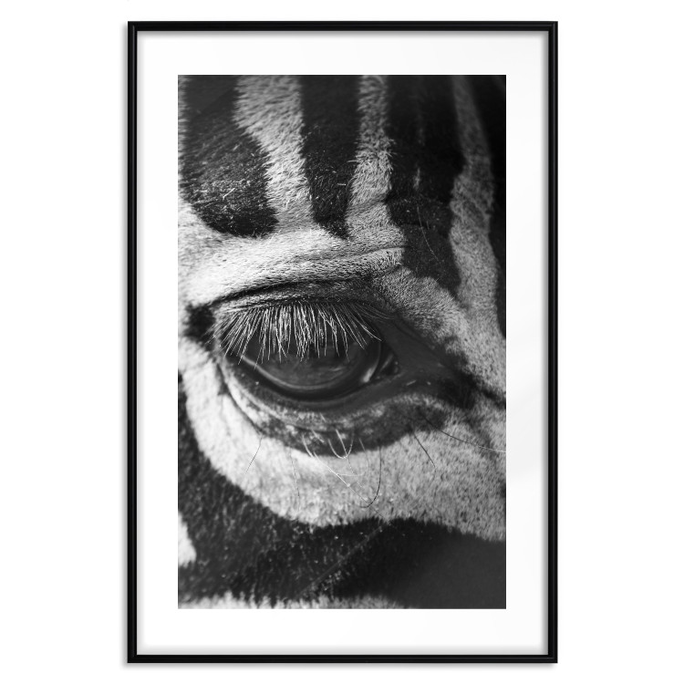 Wall Poster Close-up of a zebra's eye - black and white composition with animal motif 114877 additionalImage 17