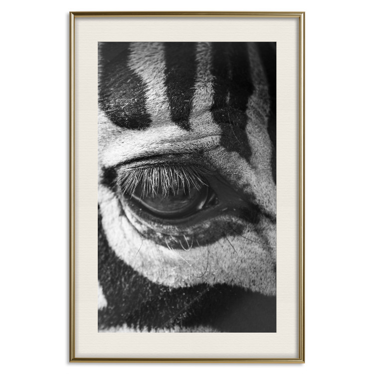 Wall Poster Close-up of a zebra's eye - black and white composition with animal motif 114877 additionalImage 19