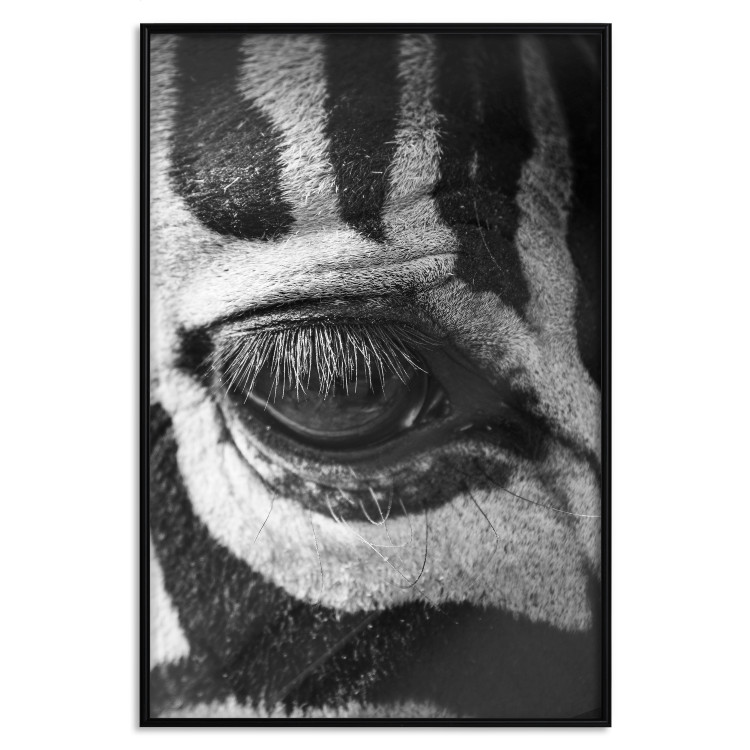 Wall Poster Close-up of a zebra's eye - black and white composition with animal motif 114877 additionalImage 24