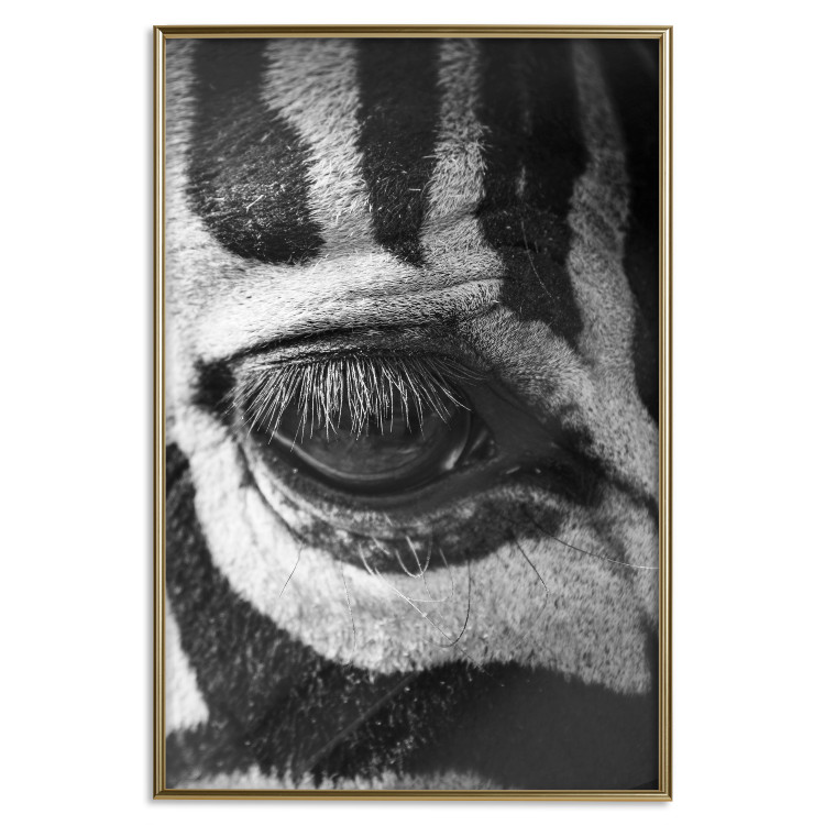 Wall Poster Close-up of a zebra's eye - black and white composition with animal motif 114877 additionalImage 20