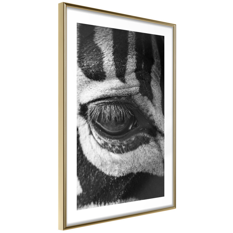 Wall Poster Close-up of a zebra's eye - black and white composition with animal motif 114877 additionalImage 5