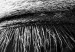 Wall Poster Close-up of a zebra's eye - black and white composition with animal motif 114877 additionalThumb 6