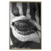 Wall Poster Close-up of a zebra's eye - black and white composition with animal motif 114877 additionalThumb 20
