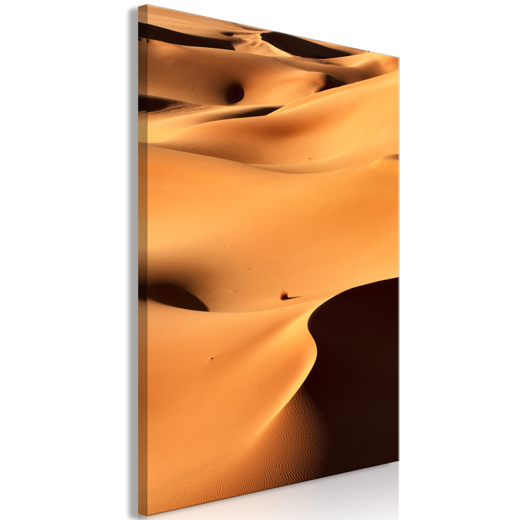 Canvas Print Moroccan sand - a minimalist, monochrome landscape with sand 116477 additionalImage 2