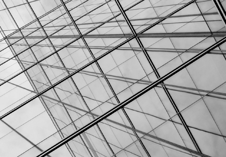 Wall Poster Glass Skyscraper - black and white composition with modern architecture 116677 additionalImage 9