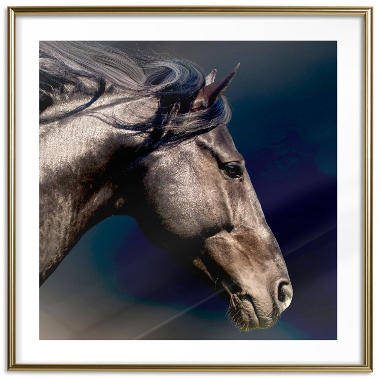 Poster Dappled Majesty - composition with a portrait of a brown horse on a black background 121977 additionalImage 14