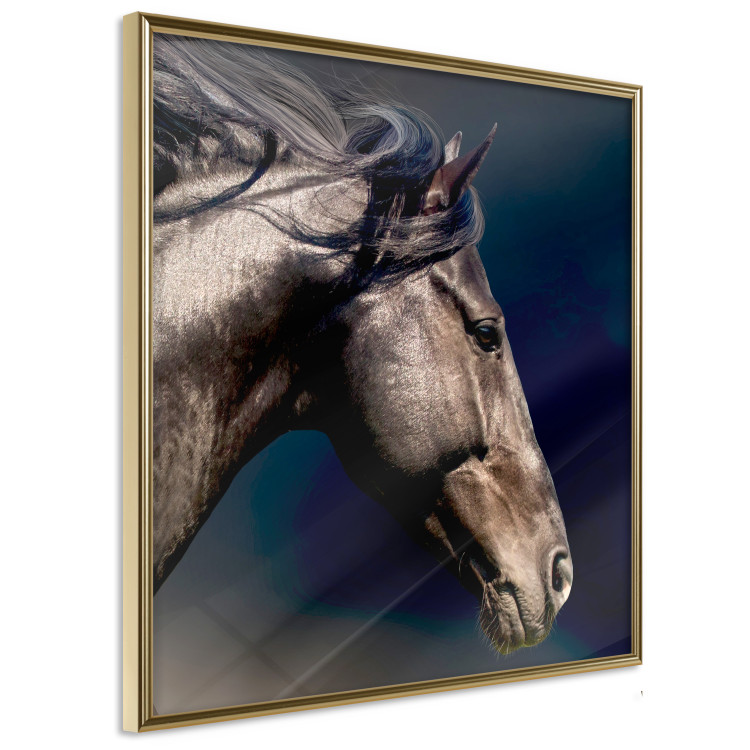 Poster Dappled Majesty - composition with a portrait of a brown horse on a black background 121977 additionalImage 10