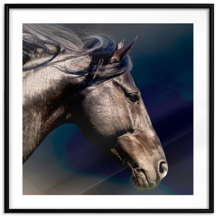 Poster Dappled Majesty - composition with a portrait of a brown horse on a black background 121977 additionalImage 15