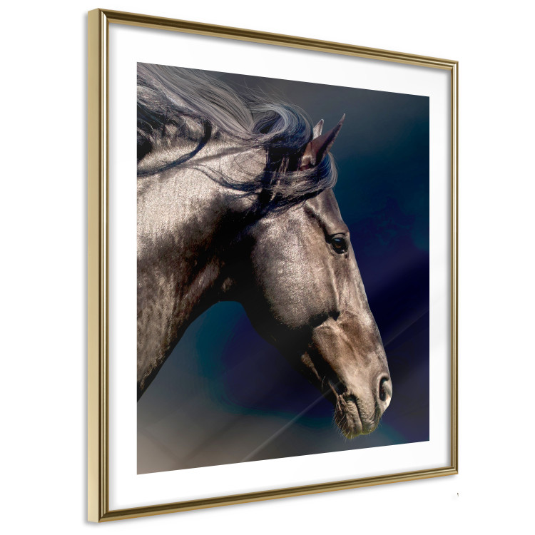 Poster Dappled Majesty - composition with a portrait of a brown horse on a black background 121977 additionalImage 9