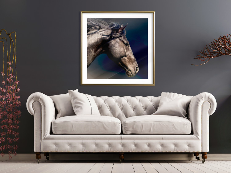 Poster Dappled Majesty - composition with a portrait of a brown horse on a black background 121977 additionalImage 13