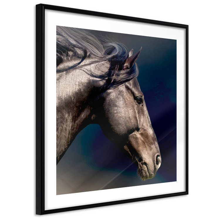 Poster Dappled Majesty - composition with a portrait of a brown horse on a black background 121977 additionalImage 12