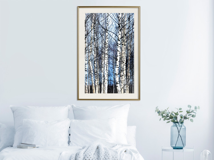 Poster Frosty January - winter forest landscape of light trees against sky 124477 additionalImage 21