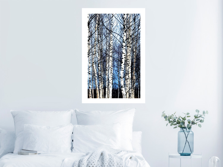 Poster Frosty January - winter forest landscape of light trees against sky 124477 additionalImage 4
