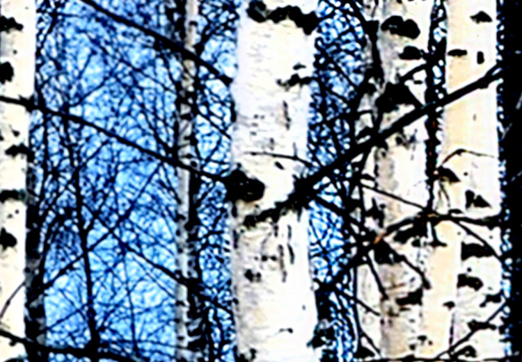 Poster Frosty January - winter forest landscape of light trees against sky 124477 additionalImage 10