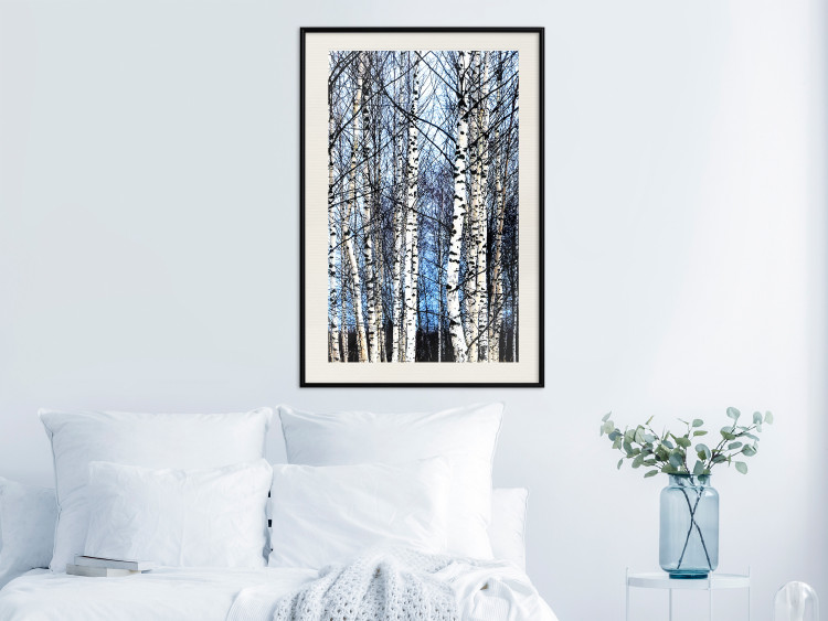 Poster Frosty January - winter forest landscape of light trees against sky 124477 additionalImage 22