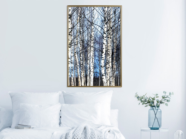 Poster Frosty January - winter forest landscape of light trees against sky 124477 additionalImage 7
