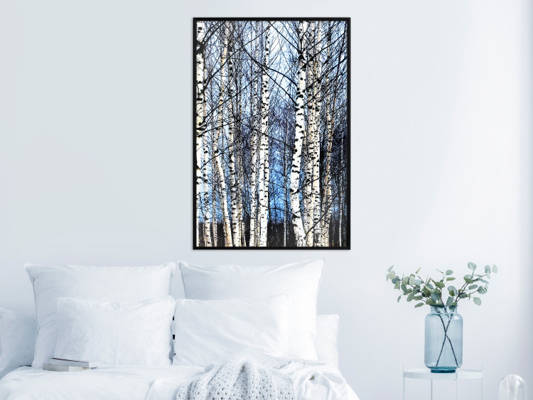 Poster Frosty January - winter forest landscape of light trees against sky 124477 additionalImage 3