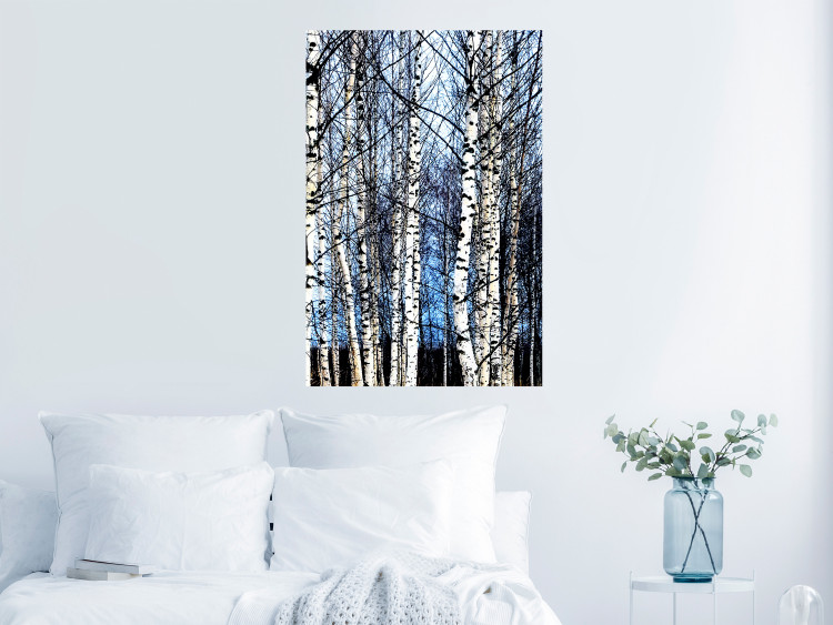 Poster Frosty January - winter forest landscape of light trees against sky 124477 additionalImage 17