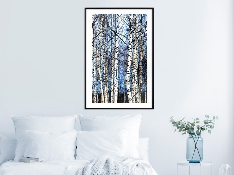 Poster Frosty January - winter forest landscape of light trees against sky 124477 additionalImage 6