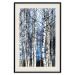 Poster Frosty January - winter forest landscape of light trees against sky 124477 additionalThumb 18