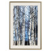 Poster Frosty January - winter forest landscape of light trees against sky 124477 additionalThumb 19
