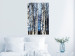 Poster Frosty January - winter forest landscape of light trees against sky 124477 additionalThumb 17