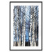 Poster Frosty January - winter forest landscape of light trees against sky 124477 additionalThumb 15